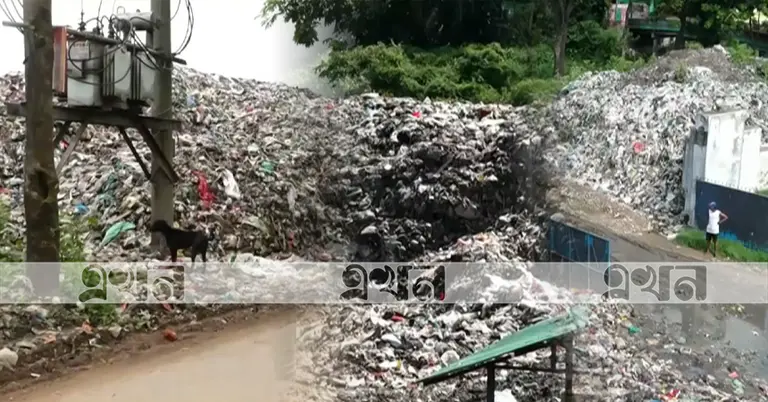 বর্জ্য ব্যবস্থাপনা